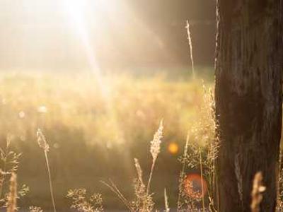 I replaced a $120/year micro-SaaS in 20 minutes with LLM-generated code