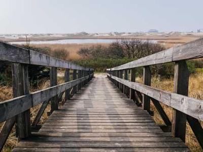 Elon Musk Is Rolling xAI Into SpaceX—Creating the World’s Most Valuable Private Company